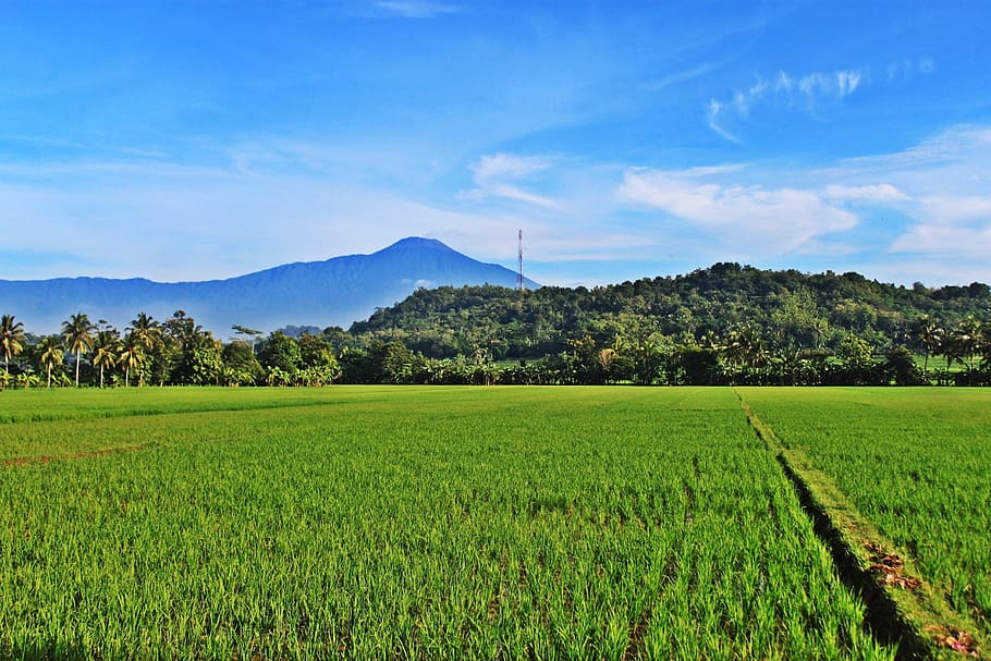 mount, field, view, nature, cloud, the sky, blue, the landscape HD wallpaper