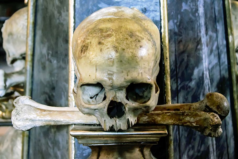 skull decor on top of brown column, human skull, death, bones HD wallpaper