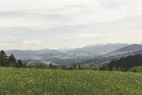 forest, hill, mountains, landscape, meadow, green, nature, sky HD wallpaper