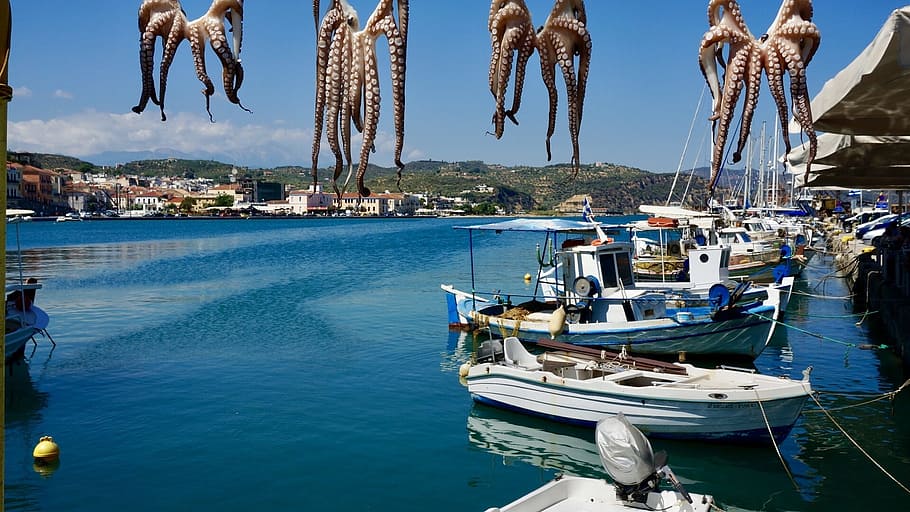 squid, octopus, boat, sea, fishing boat, water, greece, blue sky HD wallpaper