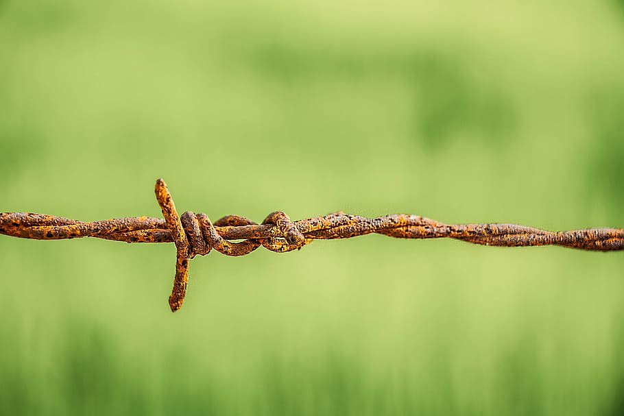 barbed wire, rust, old, rusty, metal, focus on foreground, no people HD wallpaper