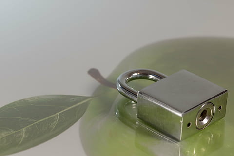 castle, security, padlock, sure, metal, closed, security lock HD wallpaper