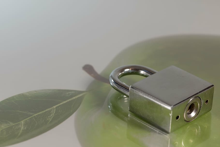 castle, security, padlock, sure, metal, closed, security lock HD wallpaper