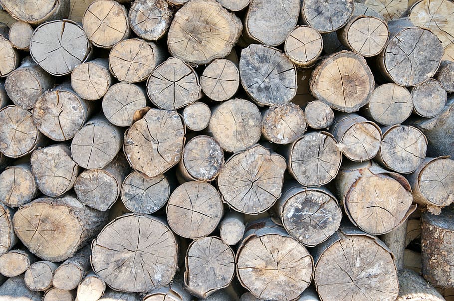 wood, stack, firewood, nature, tree, shock, log, timber, full frame HD wallpaper