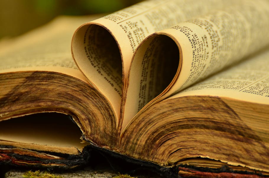 bokeh shot of book page formed heart, books, bible, old, antique, HD wallpaper