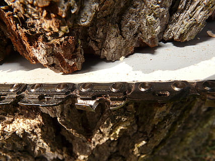 close-up photo of chainsaw blade in tree, Chainring, Wood, firewood HD wallpaper