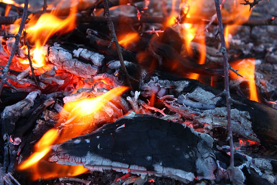 burned wood, fire, embers, flame, heat, flames, hot, bonfire HD wallpaper