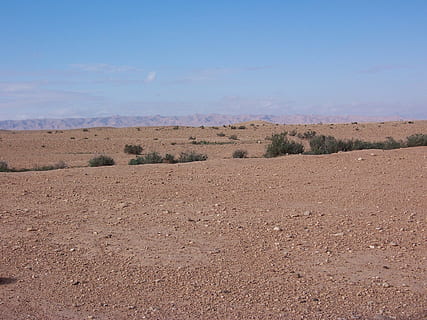 brown sand desert with green grass under blue skies, Algeria HD wallpaper