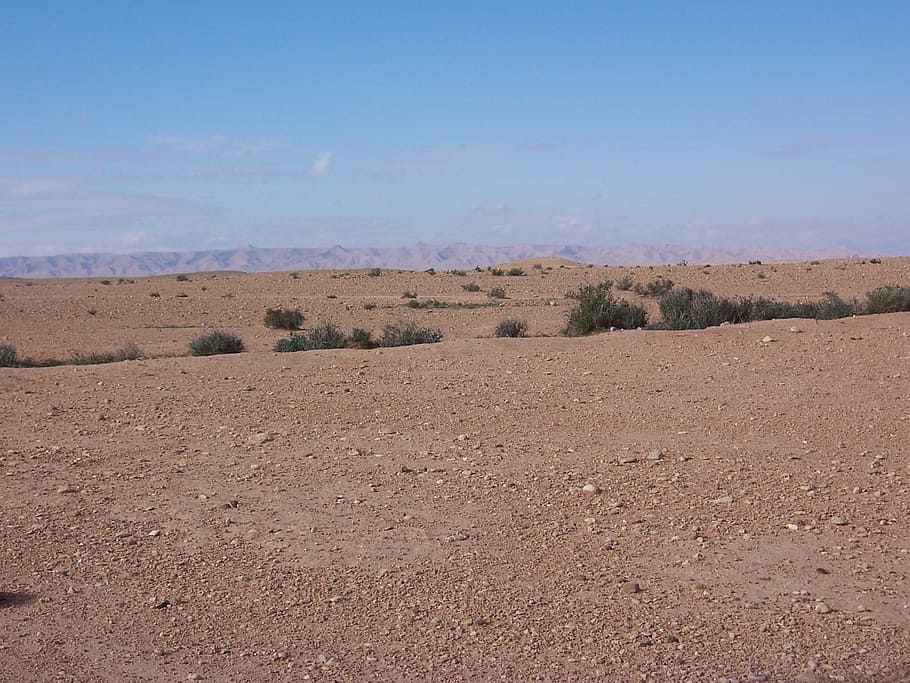 brown sand desert with green grass under blue skies, Algeria HD wallpaper