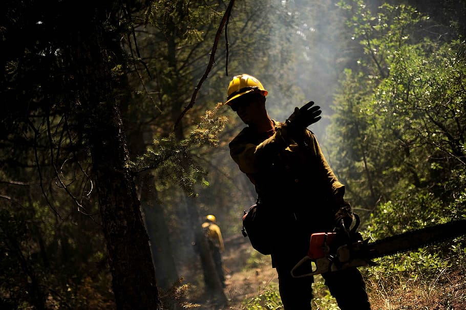 man holding chainsaw in the forest, firefighter, forest fire HD wallpaper