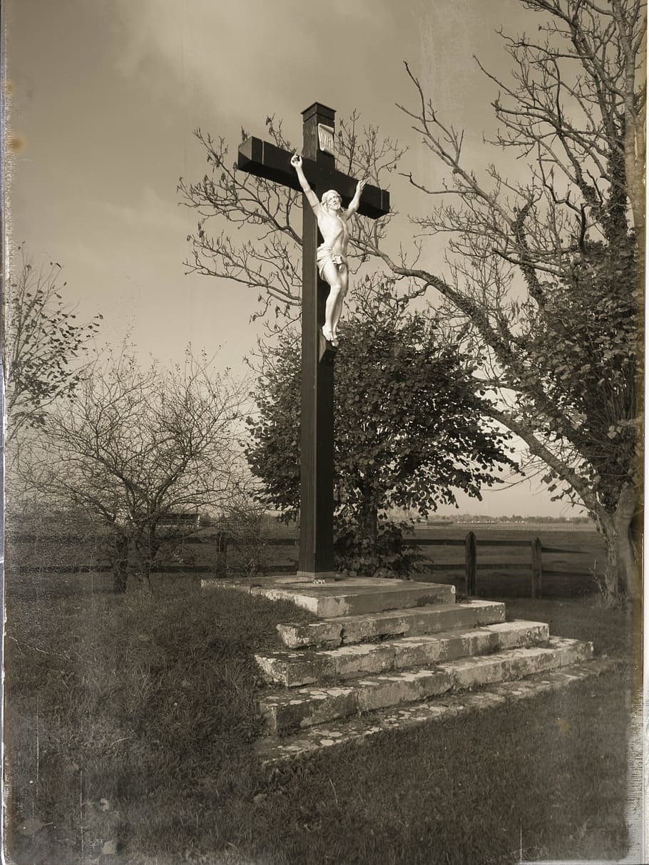 calvary, jesus, cross, jesus christ, sepia, statue, tree, plant, HD wallpaper