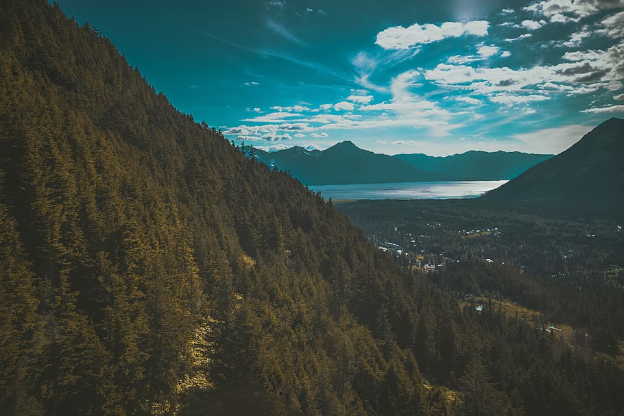 photo of green forest near body of water under cloudy sky, mountain range under blue sky HD wallpaper