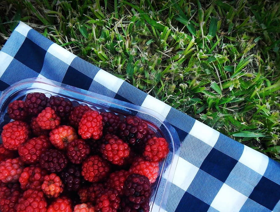 raspberries, blackberries, picnic, red fruits, healthy eating, HD wallpaper