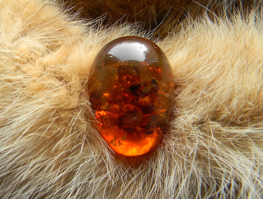 fur, security, bernstein, small, cute, egg, transparency, recovered HD wallpaper