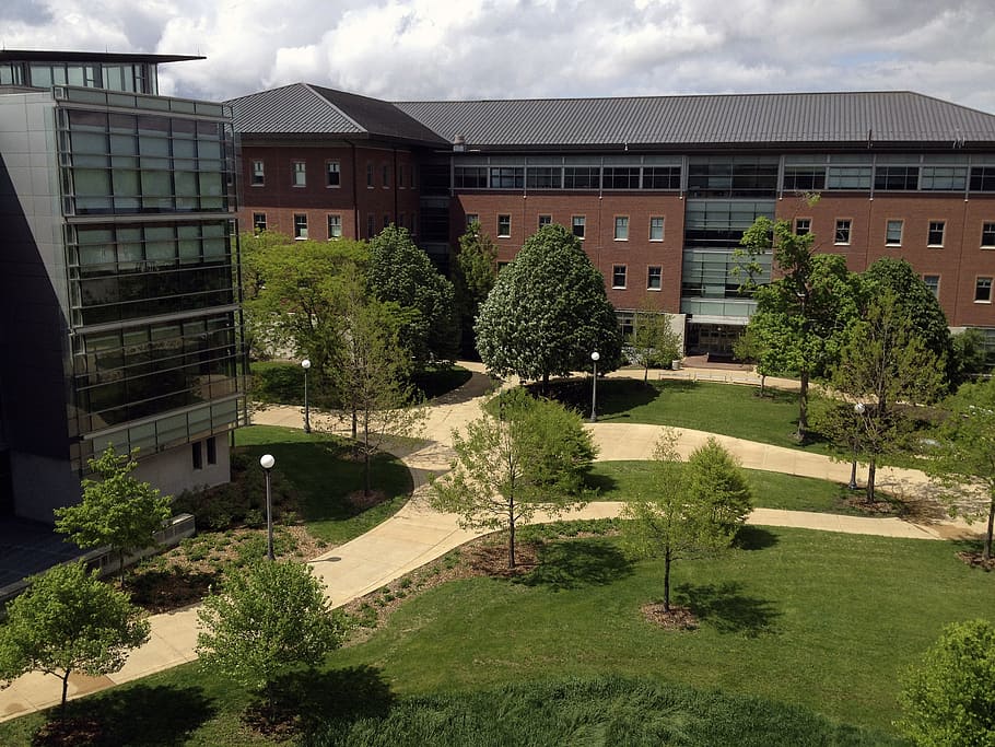 engineering quad, university, campus, architecture, plant, built structure HD wallpaper