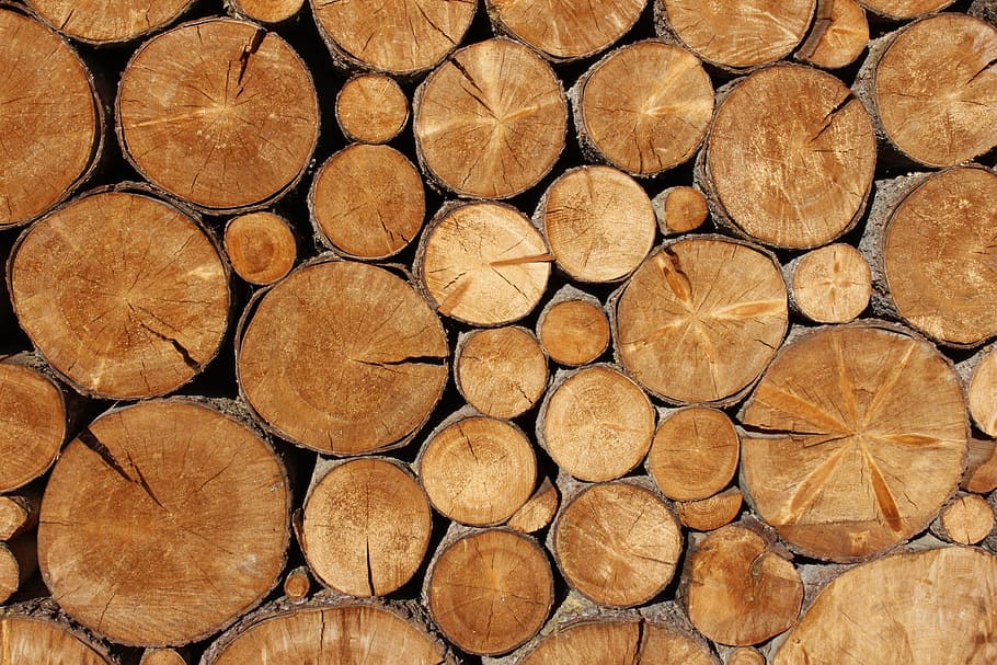 chopped tree logs, nature, wood, dry wood, timber, backgrounds HD wallpaper