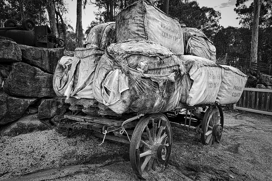 wagon, wool, bales, transport, freight, cart, horse drawn, transportation HD wallpaper
