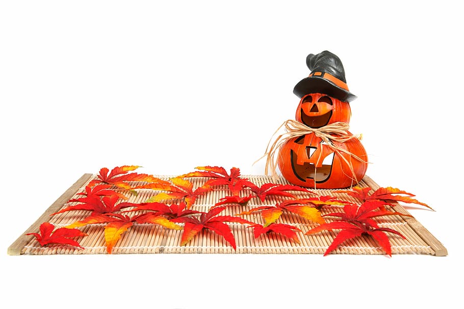 Autumn, Decoration, Fall, funny, halloween, head, holiday, isolated HD wallpaper