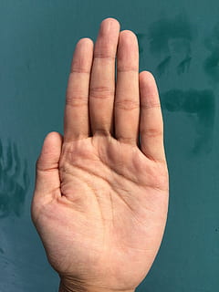 palm, hand, finger, bleaching, palm reading, young, japanese HD wallpaper