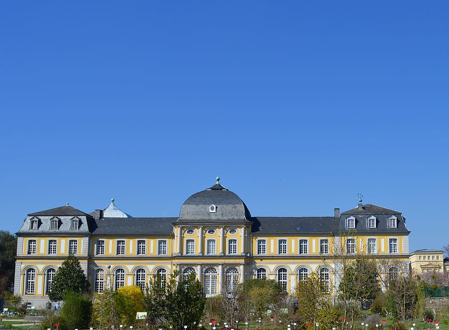 Castle, Poppelsdorfer Schloss, Bonn, building, architecture, HD wallpaper