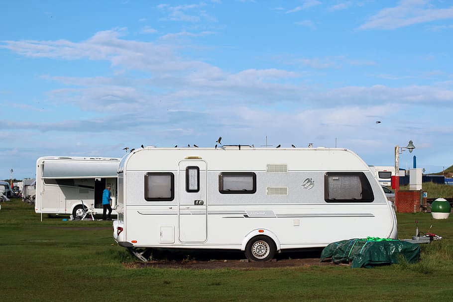 white and gray camping trailer outdoors, caravan, campsite, holiday