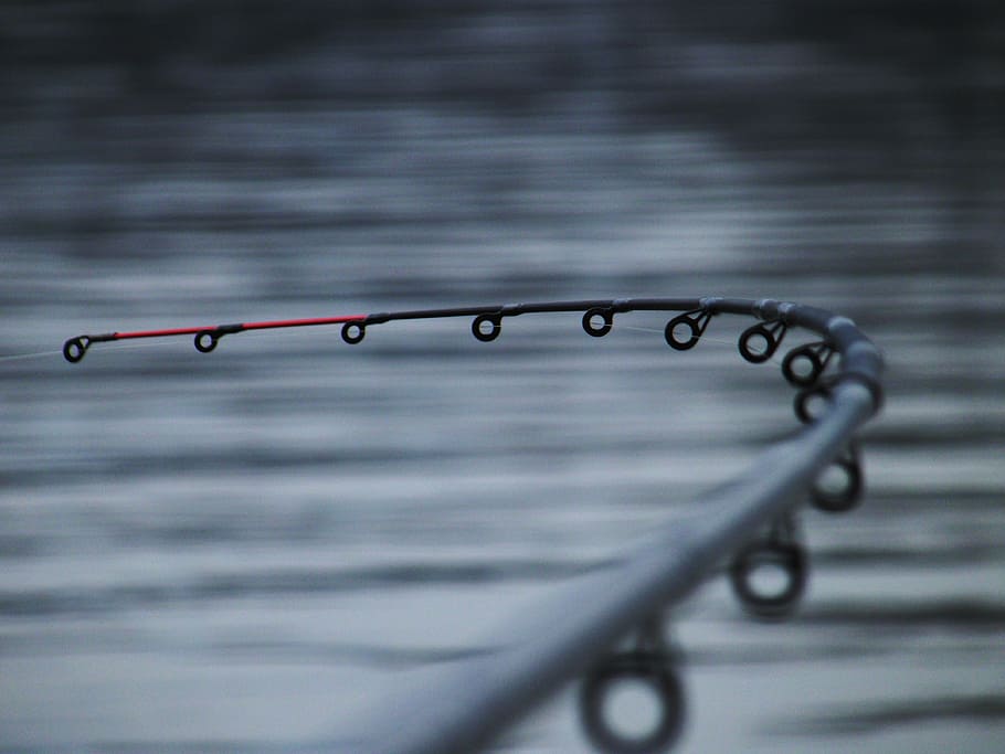 black and red fishing rod, Rods, Danube, fishing rods, jerry k, HD wallpaper