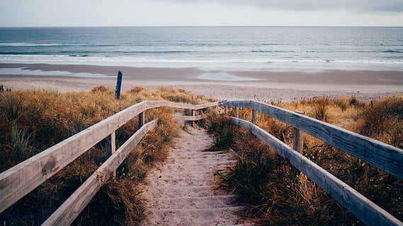 stairs through beach, stairs surrounded with grass near the sea HD wallpaper