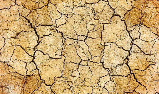 dried up brown soil, cracks, drought, earth, land, surface HD wallpaper
