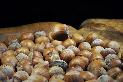 hazelnut, shell, brown, nuts, food, tasty, eat, nutshells, autumn HD wallpaper