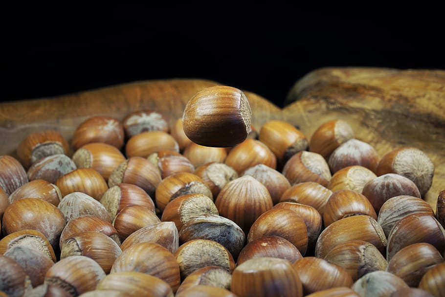 hazelnut, shell, brown, nuts, food, tasty, eat, nutshells, autumn, HD wallpaper