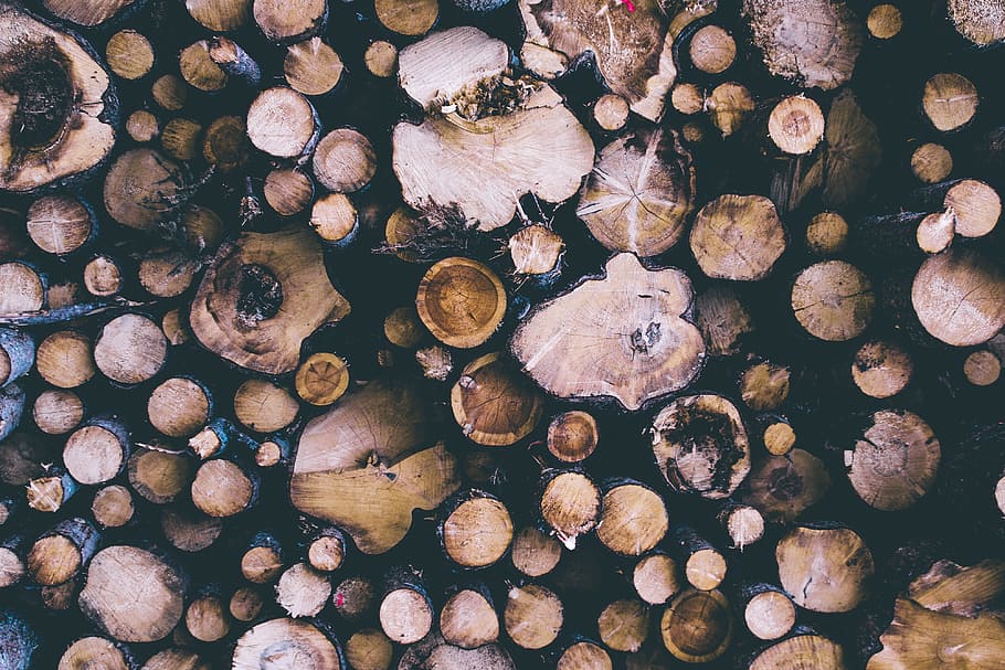 Cut logs from trees from forest, nature, wood, backgrounds, brown, HD wallpaper