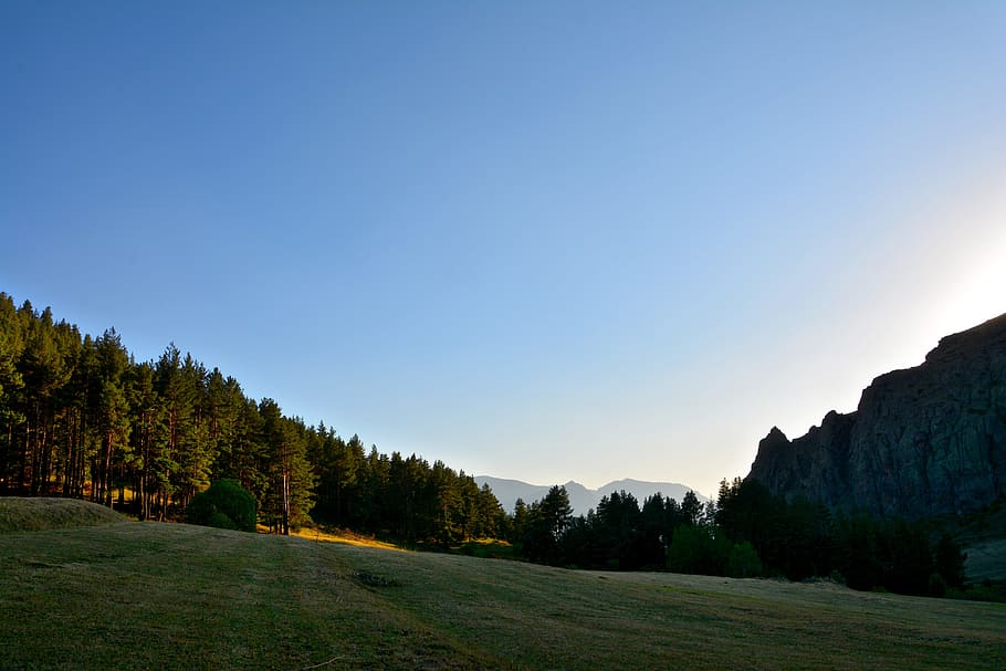 forest, grass, kaçkars, nature, green, mountains, landscape HD wallpaper
