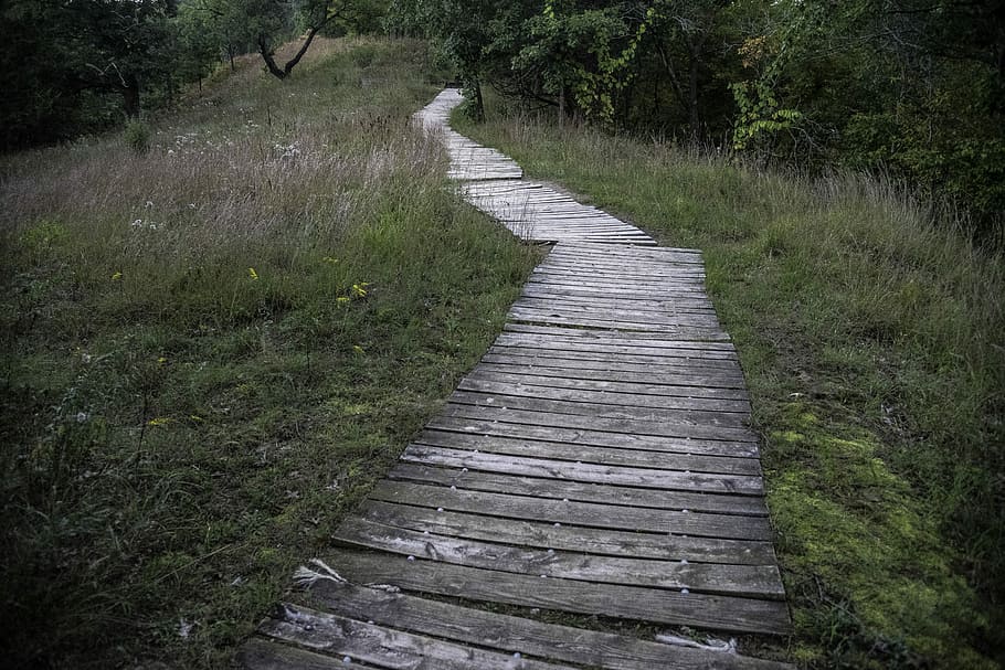 Boardwalk Path at Ferry Bluff, photos, public domain, United States HD wallpaper