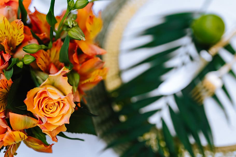 Colorful Exotic Flowers and Greenery, flora, leaf, leaves, tropical HD wallpaper