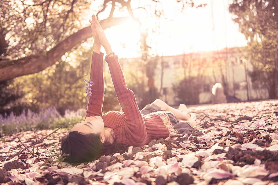 bonn, sonne, germany, limb, human leg, low section, human body part HD wallpaper