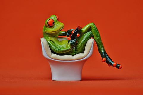 frog, chair, cozy, tablet, pc, computer, cute, sweet, funny HD wallpaper