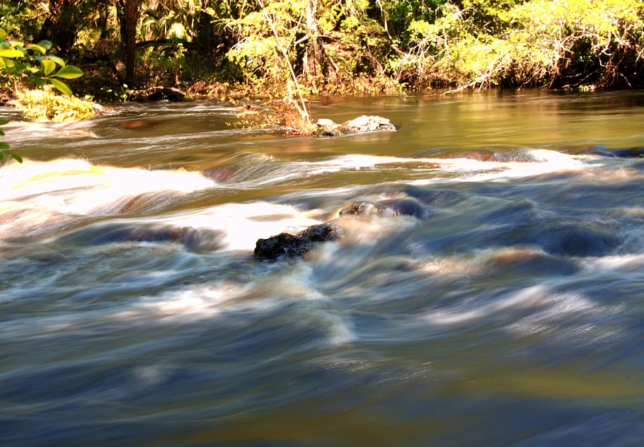 Florida, Stream, Creek, River, Flow, nature, brook, landscape HD wallpaper