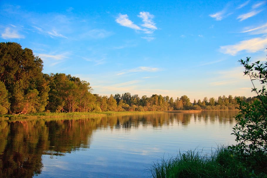 beige and green trees near water, Lake, Reflection, Nature HD wallpaper