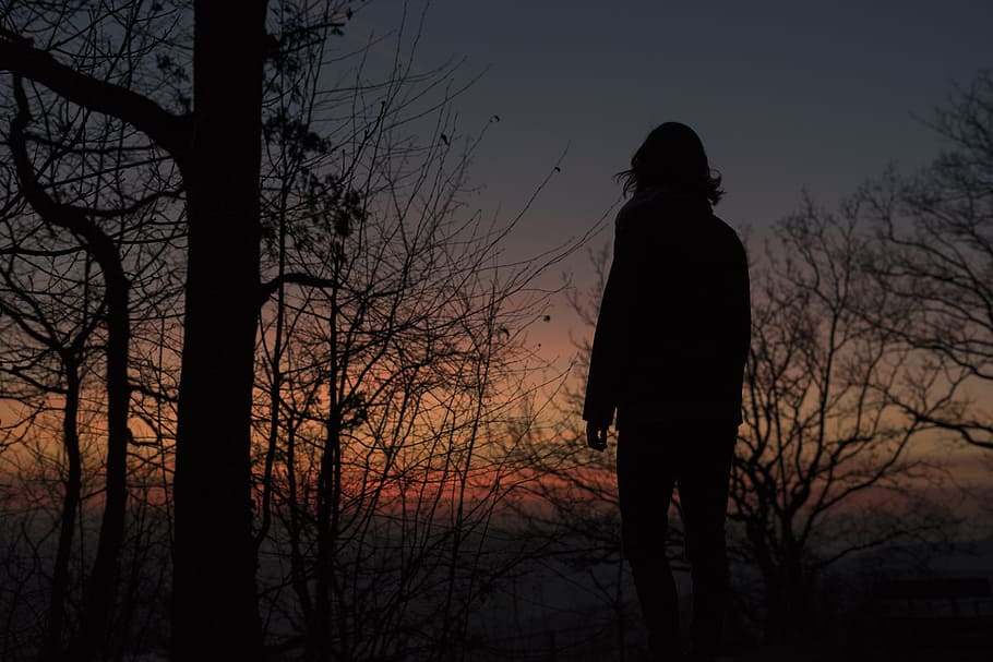 silhouette photo of a woman on sunset, silhouette of person standing near bare tree during nighttime HD wallpaper