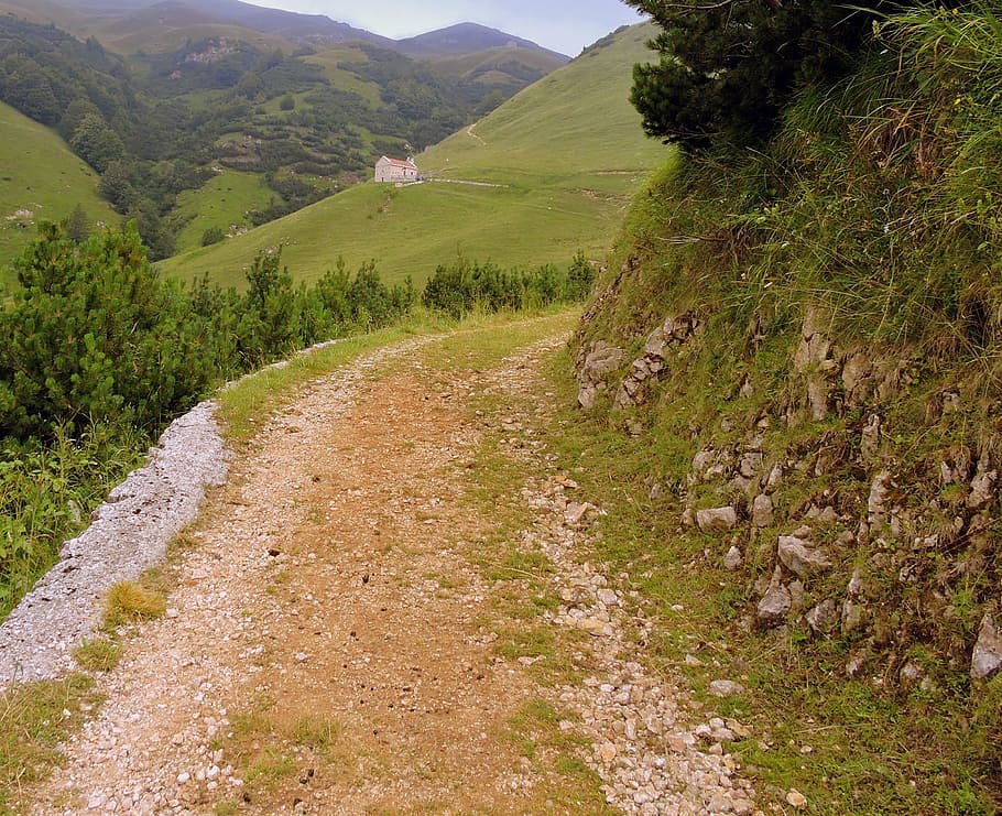 trail, hiking, mountain, walk, veneto, italy, val fraselle HD wallpaper