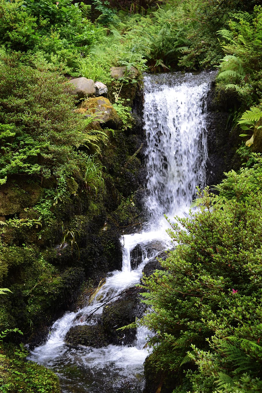 Waterfall, Forest, Nature, landscape, river, outdoors, travel HD wallpaper