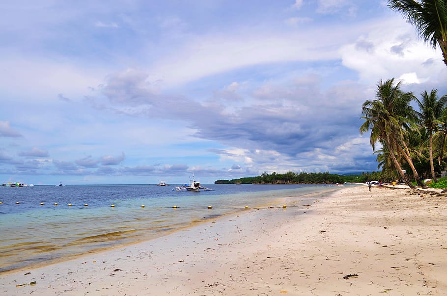 beach, sand, palm trees, water, sky, land, cloud - sky, sea HD wallpaper