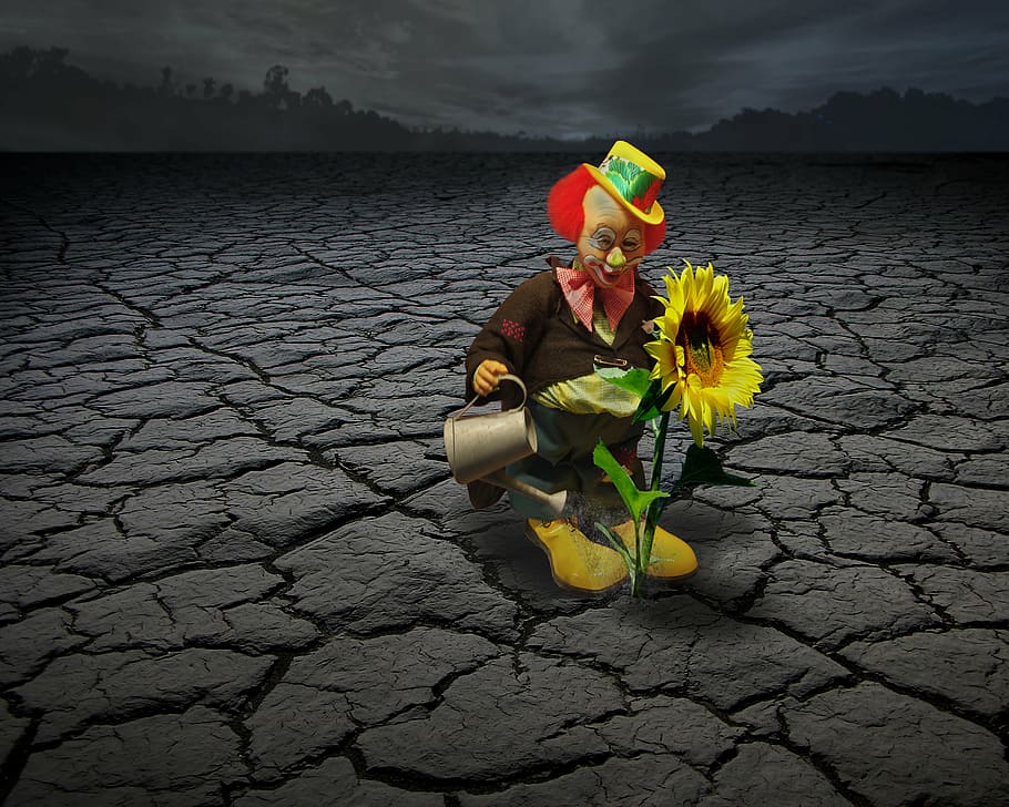 Clown toy water flower illustration, circus, face, funny, sun flower HD wallpaper