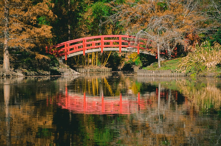 Orange and White Bridge, daylight, environment, forest, landscape HD wallpaper