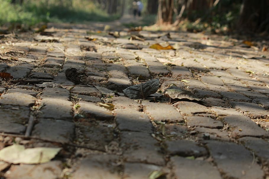 cobblestones, garden, pathway, old, day, no people, land, nature HD wallpaper
