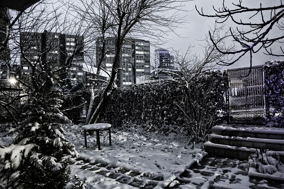 snow, garden, winter, trees, night, cold, karyağışı, architecture HD wallpaper