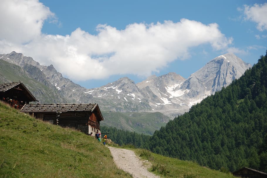 Alm, Alpine, Hut, Landscape, Nature, meadow, mountain, mountain range HD wallpaper