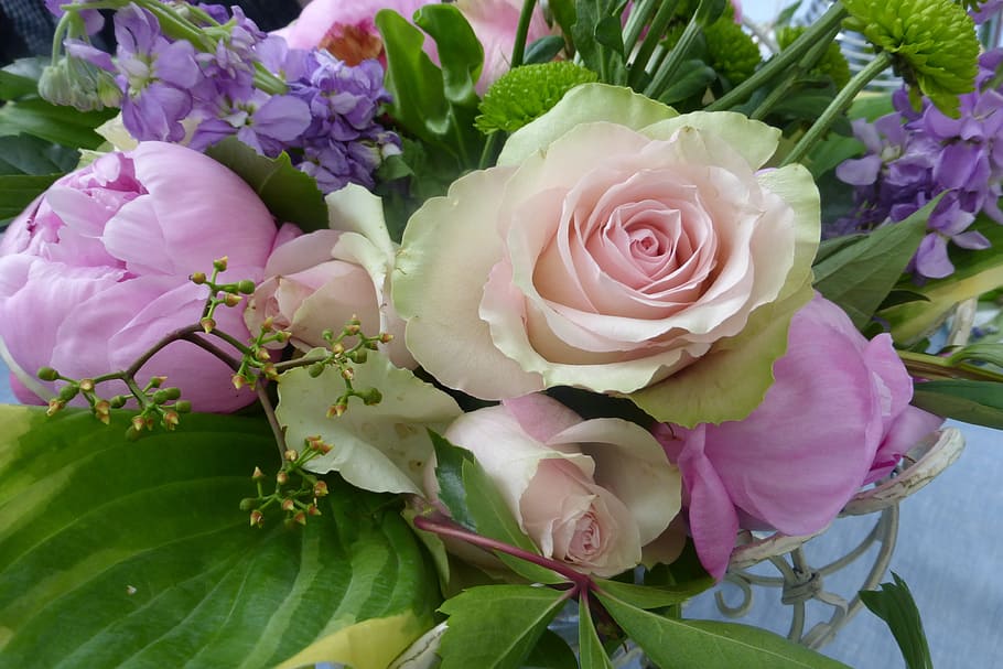 flower, floral, leaf, rose, plant, flowering plant, beauty in nature HD wallpaper