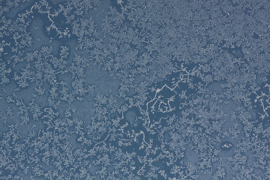 gray floral wallpaper, hardest, cold, crystals, ice, eiskristalle HD wallpaper