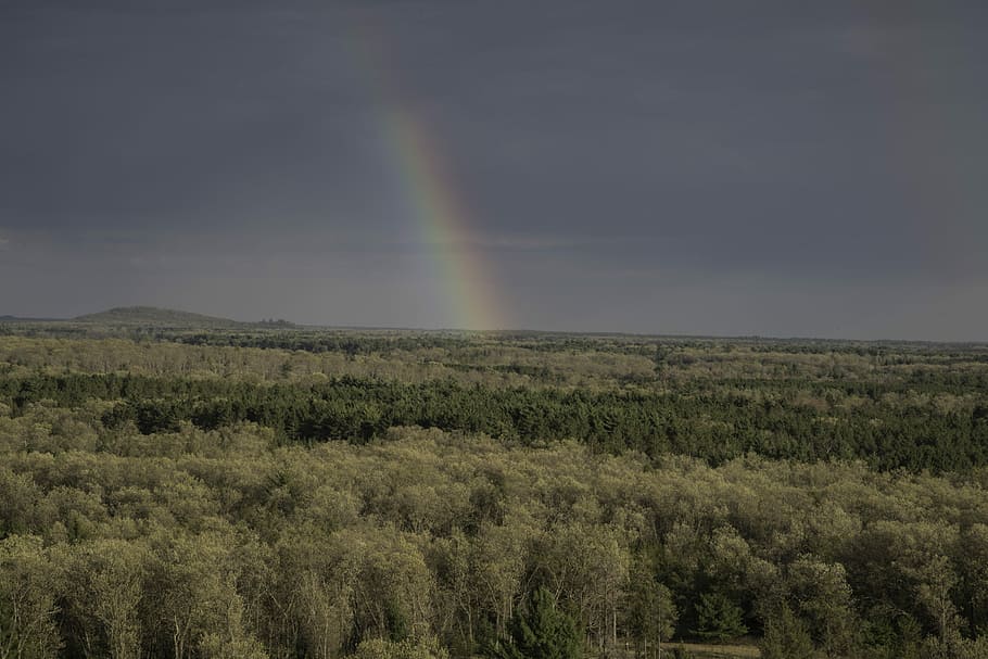 Rainbow in the trees in the forest landscape at Quincy Bluff, Wisconsin HD wallpaper